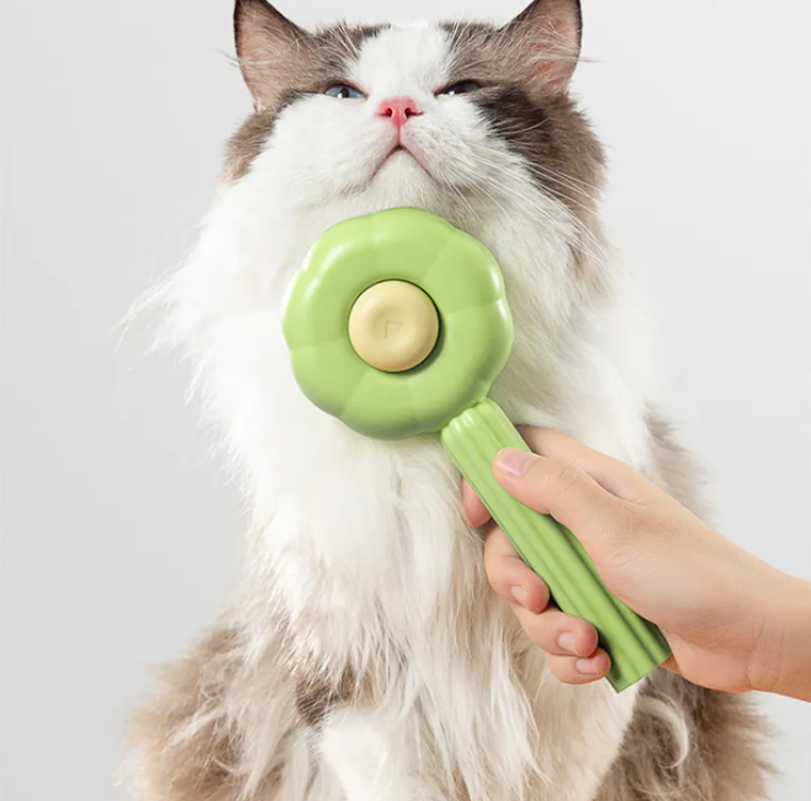 Grooming Essentials