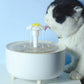 Pets Water Fountain