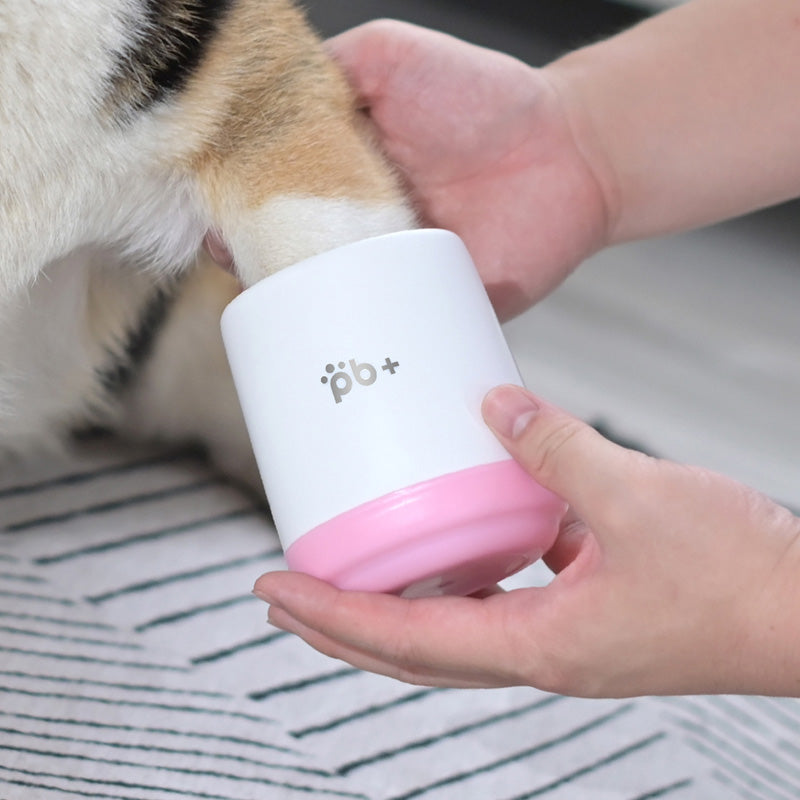 Pet Paw Purifying Cup